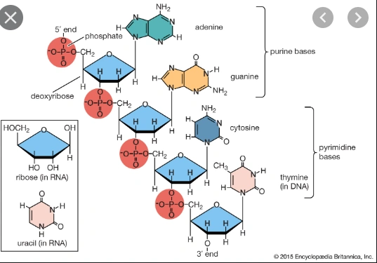 ap화학 (AP chemistry) 중요한 부분, 생소한 부분 정리를 해 보겠습니다.