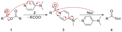 IB 화학 organic chemsitry 1 (무료 강의)