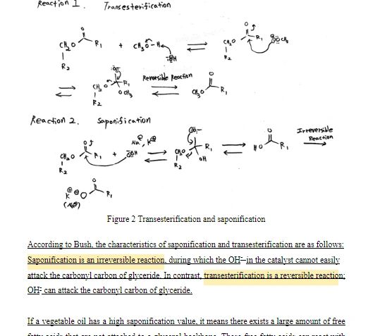 깔끔한 IA Chemistry, Biology 작성, 만점 받는 학생들