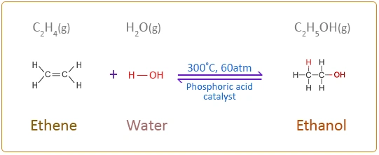 IB 화학 organic chemsitry 1 (무료 강의)