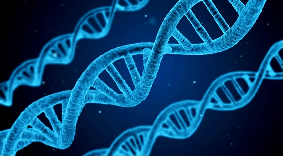 IB, AP, SAT BIOLOGY 수업 하시는 그레이스 쌤 한국어 불가 / 영어로만 수업 / 12년 특례 고대등 합격 시작