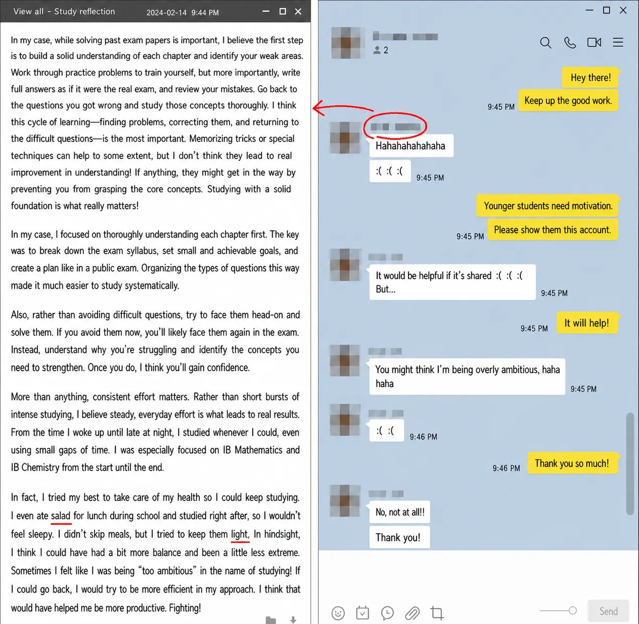 English translation of an IB Chemistry grade 7 student's detailed study reflection
