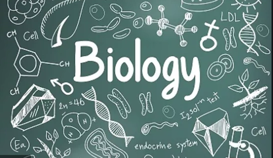 IB Biology, AP Bio 선생님- 국제 학교쌤 / IB chemistry 방학 특강 - IB 의대 공략반 / 미국인 native speaker - 작문 연습 / 방특