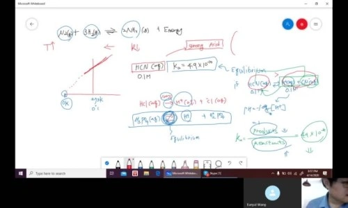 IB Chemistry, IB 화학 수업 모습과 화학 수업에 대한 정보들 (sat 화학, AP 화학 수업 온라인 수업 모습 올립니다.)