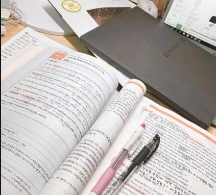 IB Biology, AP Bio 선생님- 국제 학교쌤 / IB chemistry 방학 특강 - IB 의대 공략반 / 미국인 native speaker - 작문 연습 / 방특
